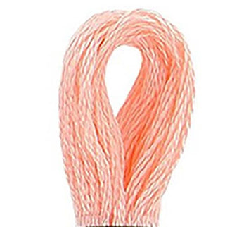 DMC 117 Embroidery Cotton Shade 20 Surimi available for sale at Gabriele's Sewing & Crafts