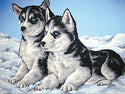 Grafitec Tapestry Wall Art No 10403 Husky Puppies available for sale at Gabriele's Sewing & Crafts